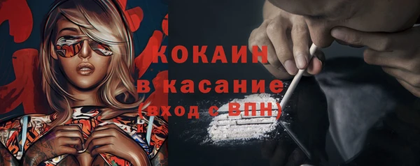 ГАЛЛЮЦИНОГЕННЫЕ ГРИБЫ Наволоки