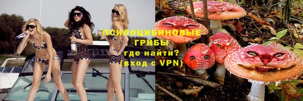 ГАЛЛЮЦИНОГЕННЫЕ ГРИБЫ Наволоки