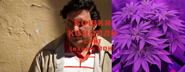 ГАЛЛЮЦИНОГЕННЫЕ ГРИБЫ Наволоки