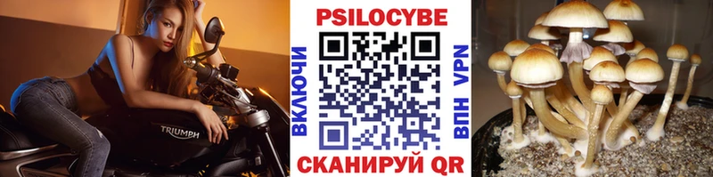 Псилоцибиновые грибы ЛСД  хочу наркоту  Игра 