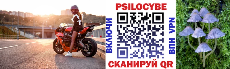 Псилоцибиновые грибы прущие грибы Игра